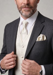 Weste, Plastron, Einstecktuch Set Creme mit Sakko