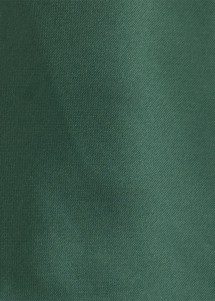 Dunkelgrüne elegante Hosenträger Stoffaufnahme